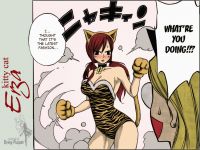 fairy_tail_erza_20110120_00012.jpg